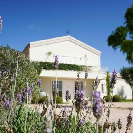 8de42a06ac4cda5d83be9697ac43235b1e7b11a0